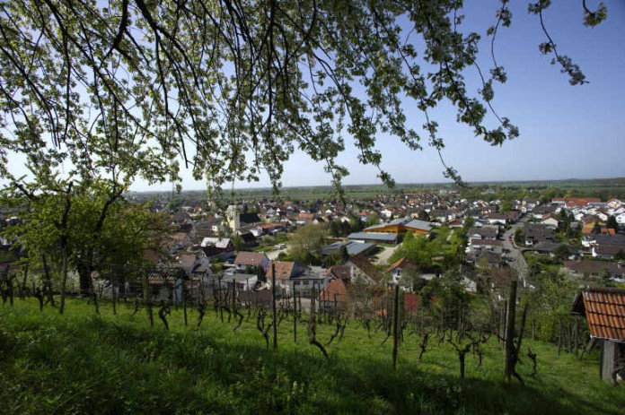 img-113898-01_Bluehende Bergstraße_II.jpg